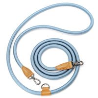 Hands-Free Ray Leash