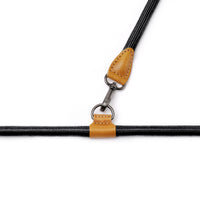 Hands-Free Ray Harness