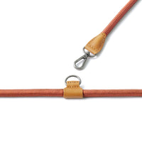 Hands-Free Ray Harness