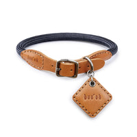 Ray Collar
