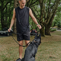 Ray Harness | Black Editon