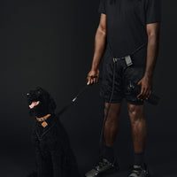 Ray Harness | Black Editon