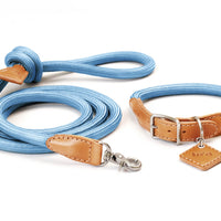 Ray Collar + Leash Set