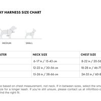 Hands-Free Ray Harness