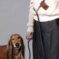 Hands-Free Ray Leash