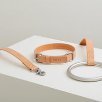 Lumi Collar