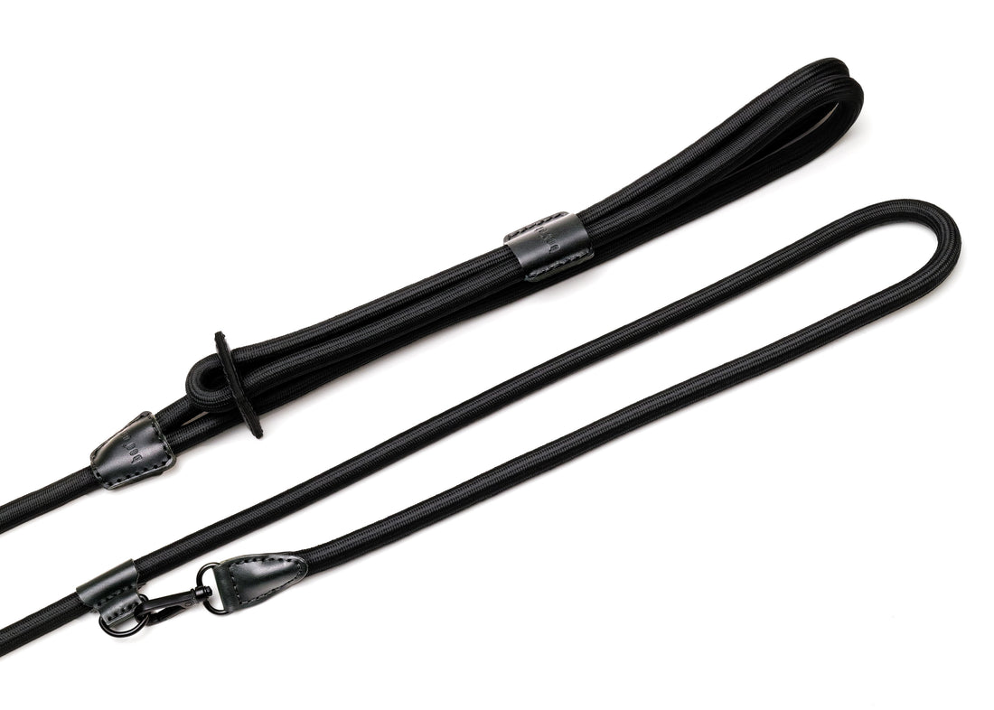 Ray Harness | Black Editon