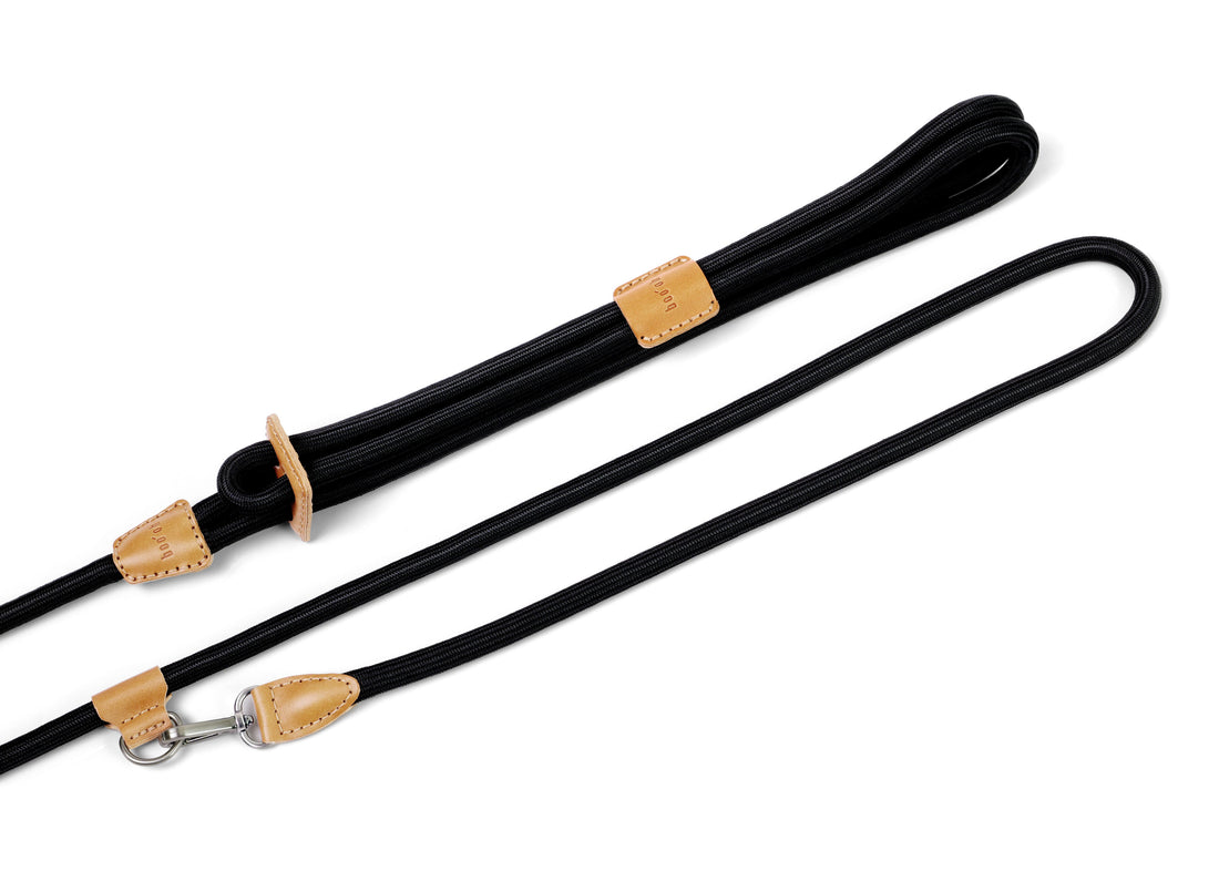 Hands-Free Ray Harness