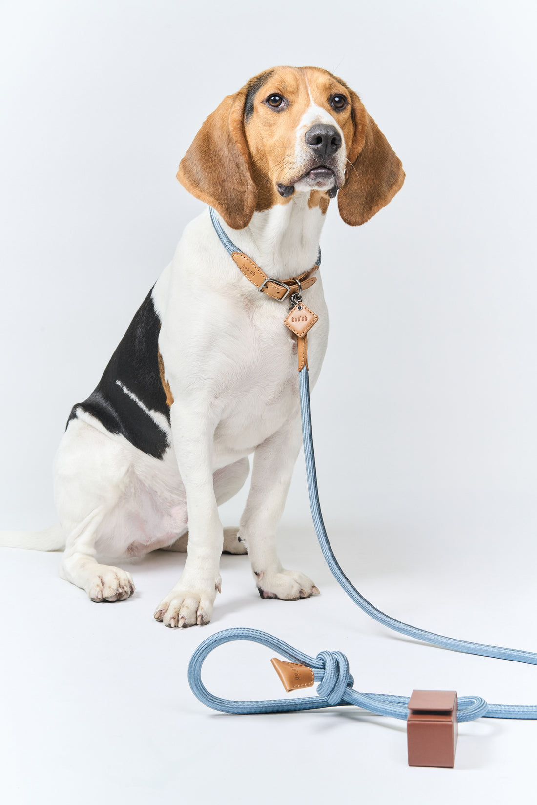 Ray Collar + Leash Set
