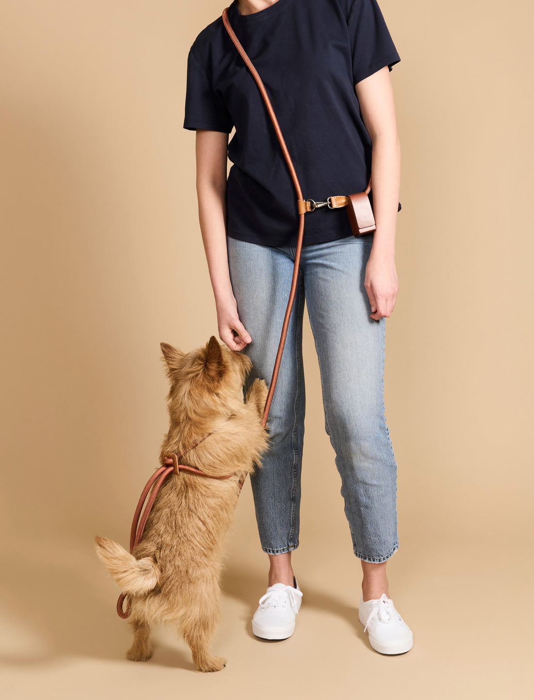 Hands-Free Ray Harness