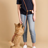 Hands-Free Ray Harness