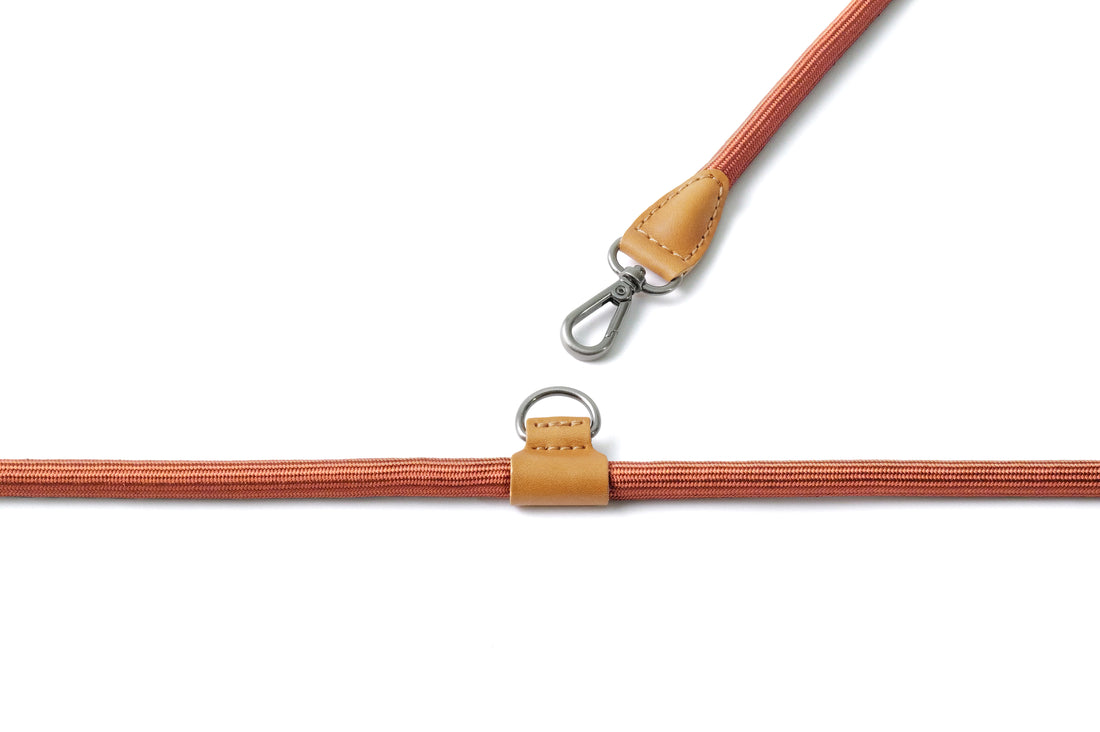 Hands-Free Ray Harness