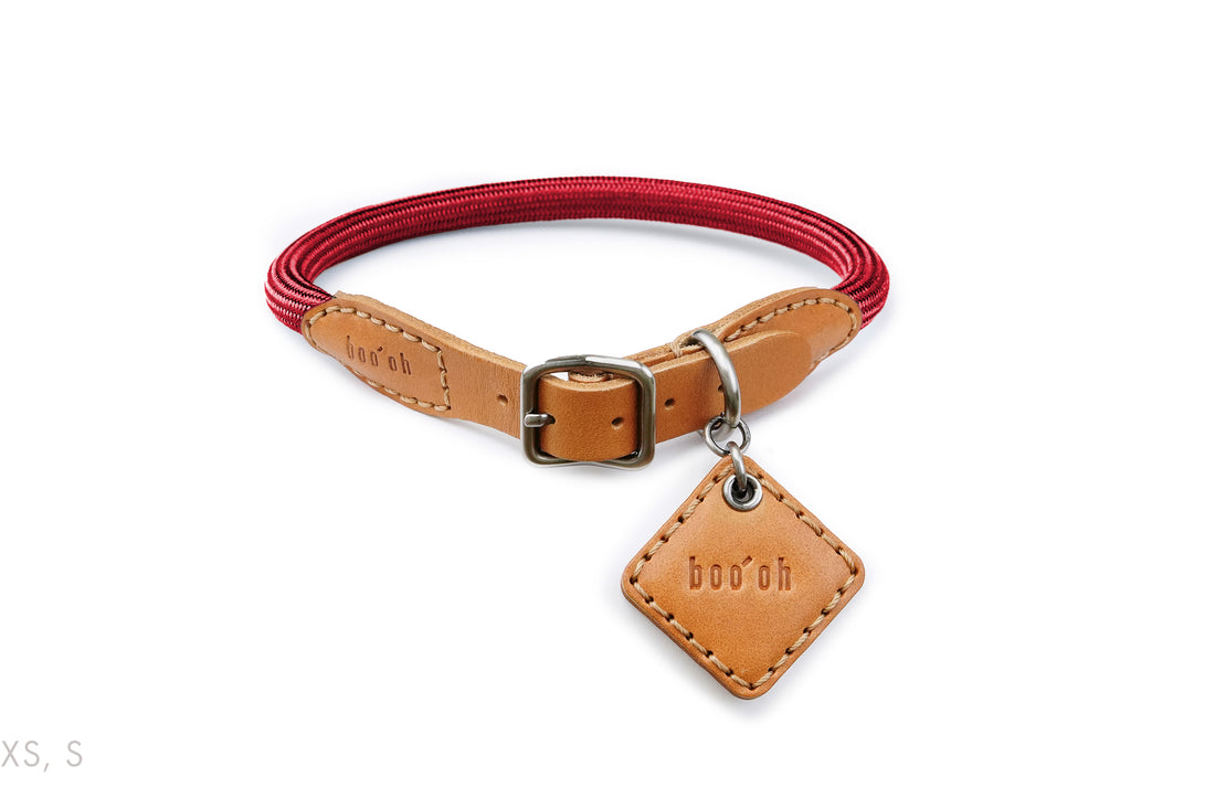 Ray Collar