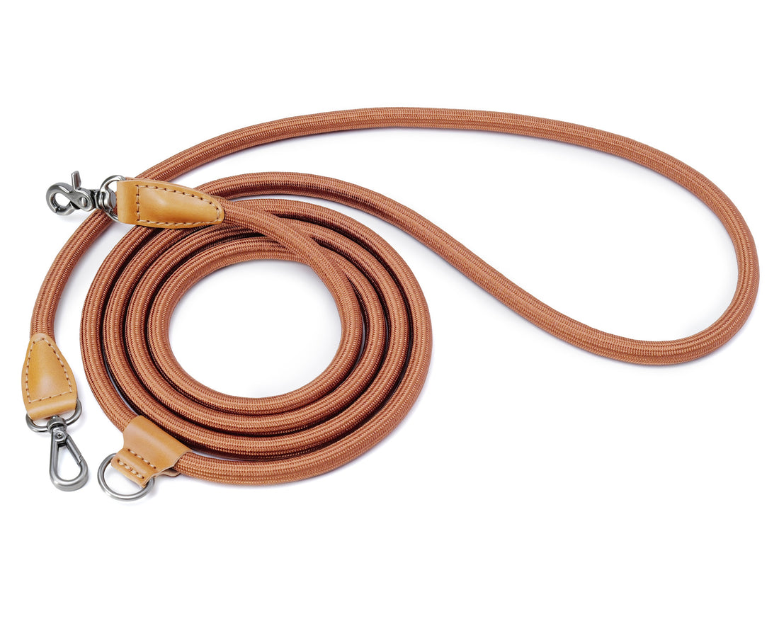 Hands-Free Ray Leash