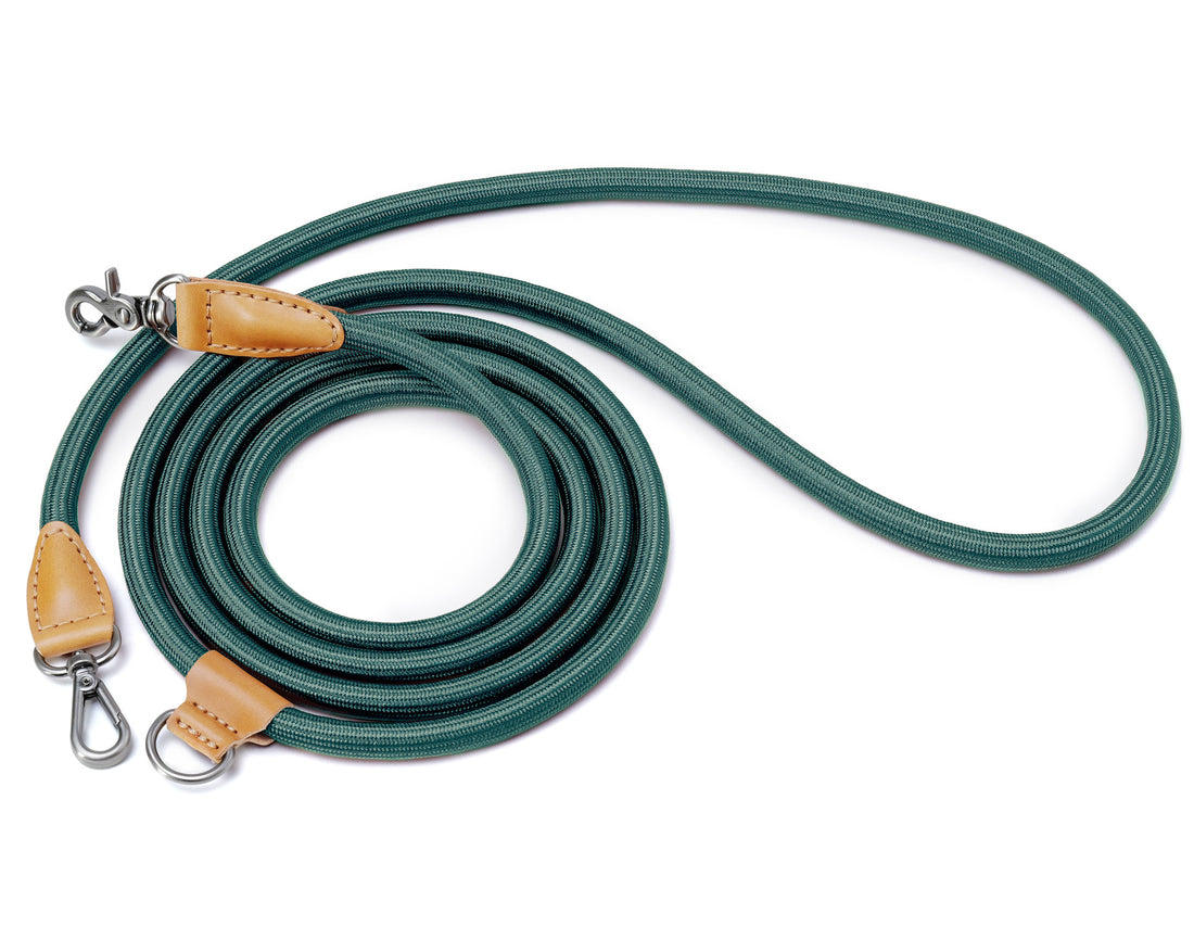 Hands-Free Ray Leash