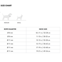Hands-Free Ray Collar + Leash Set