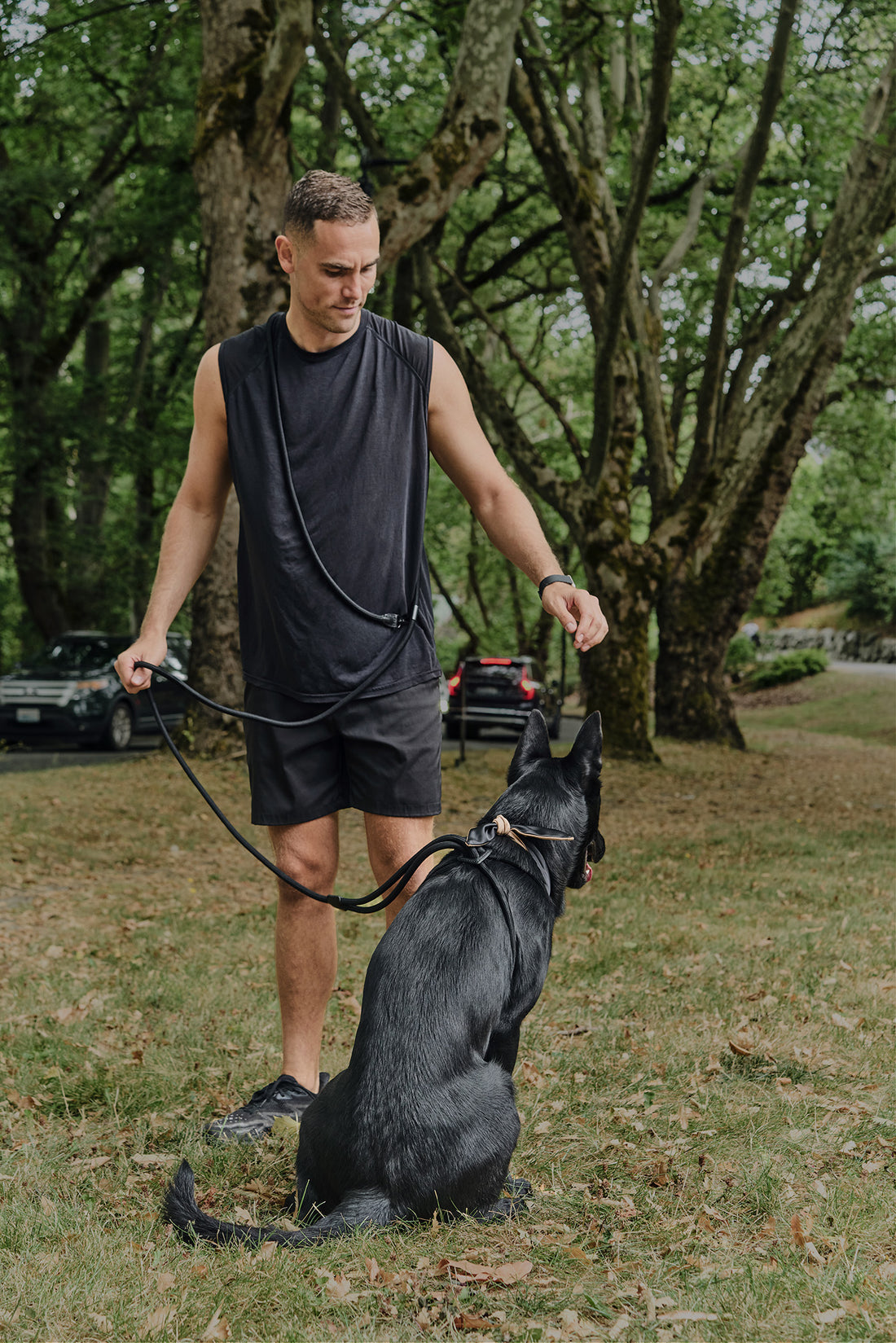 Ray Harness | Black Editon