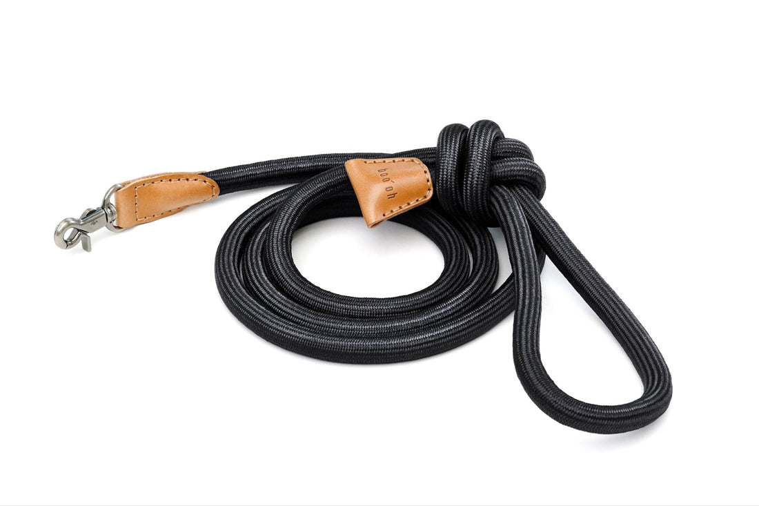 Ray Leash