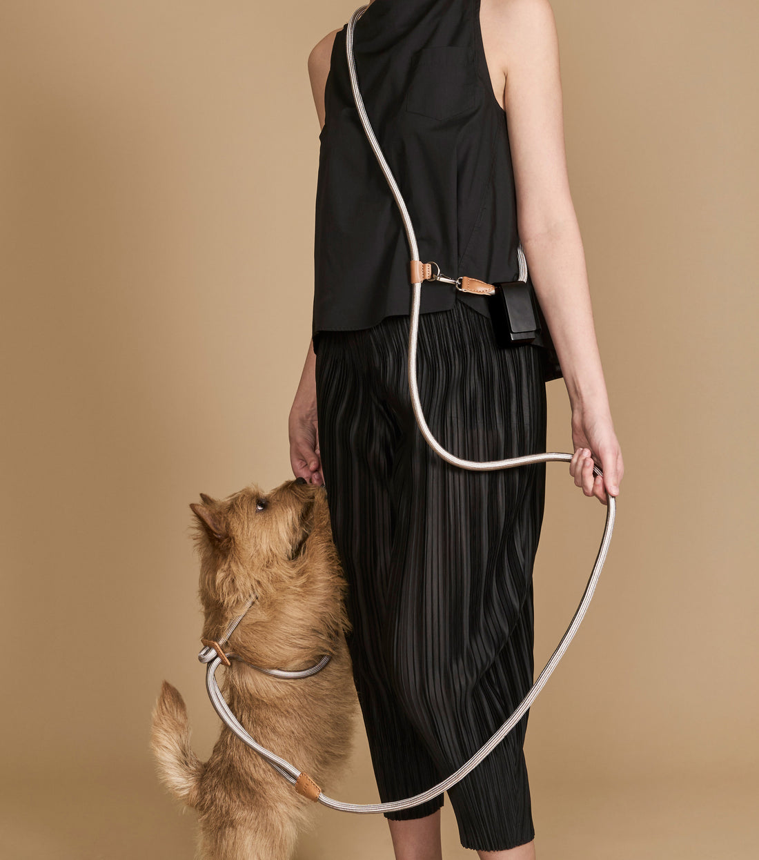 Hands-Free Ray Harness