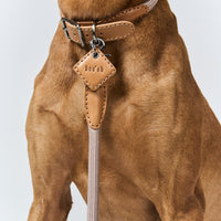 Ray Collar