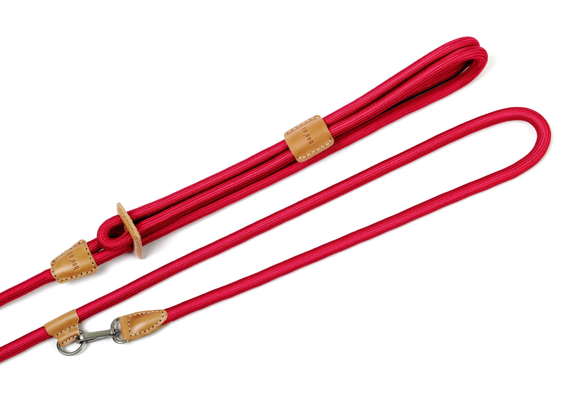 Hands-Free Ray Harness