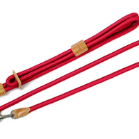 Hands-Free Ray Harness