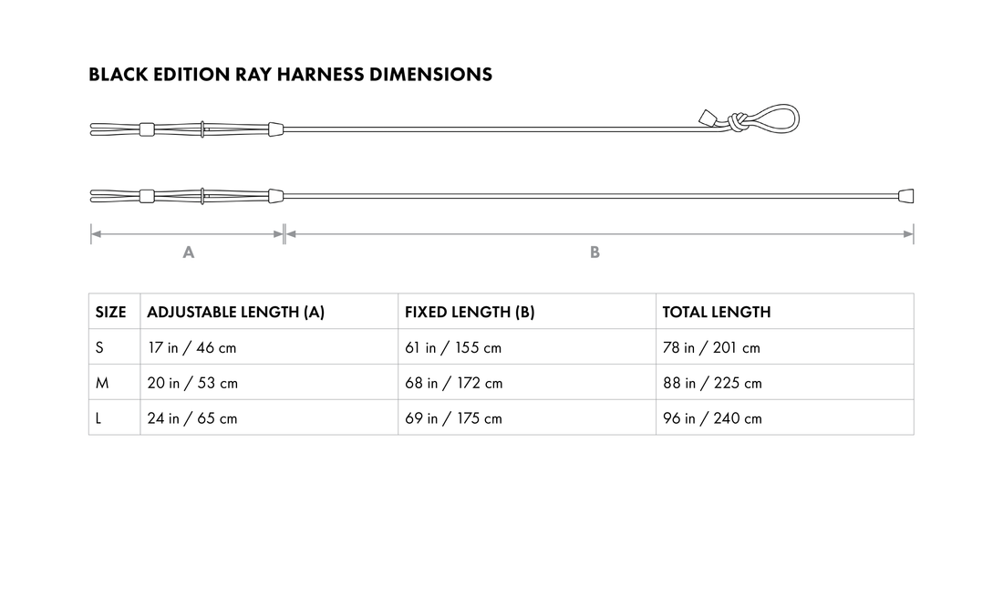 Ray Harness | Black Editon