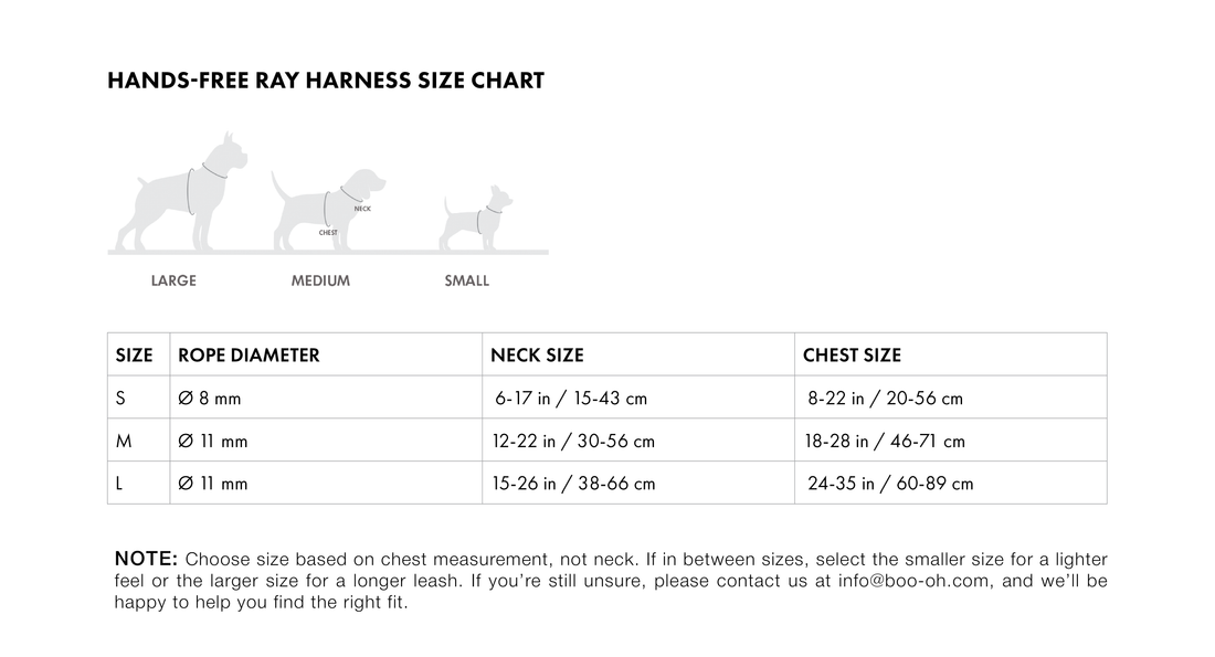 Hands-Free Ray Harness