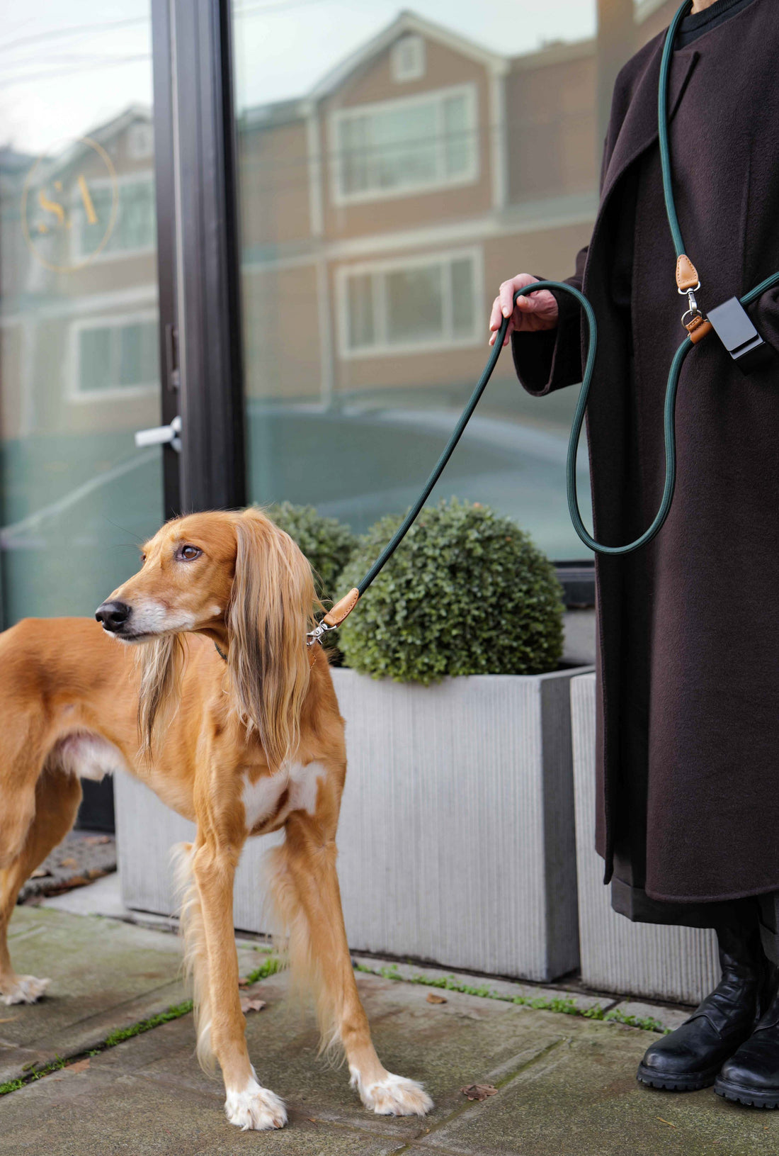 Hands-Free Ray Collar + Leash Set