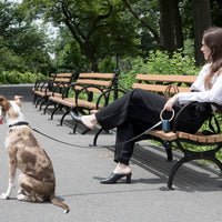 Lumi Leash