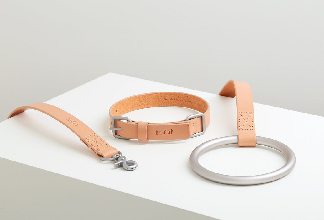 Lumi Leash