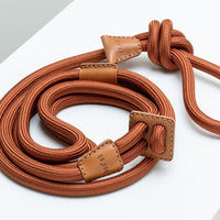 Ray Harness