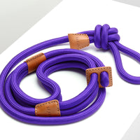 Ray Harness